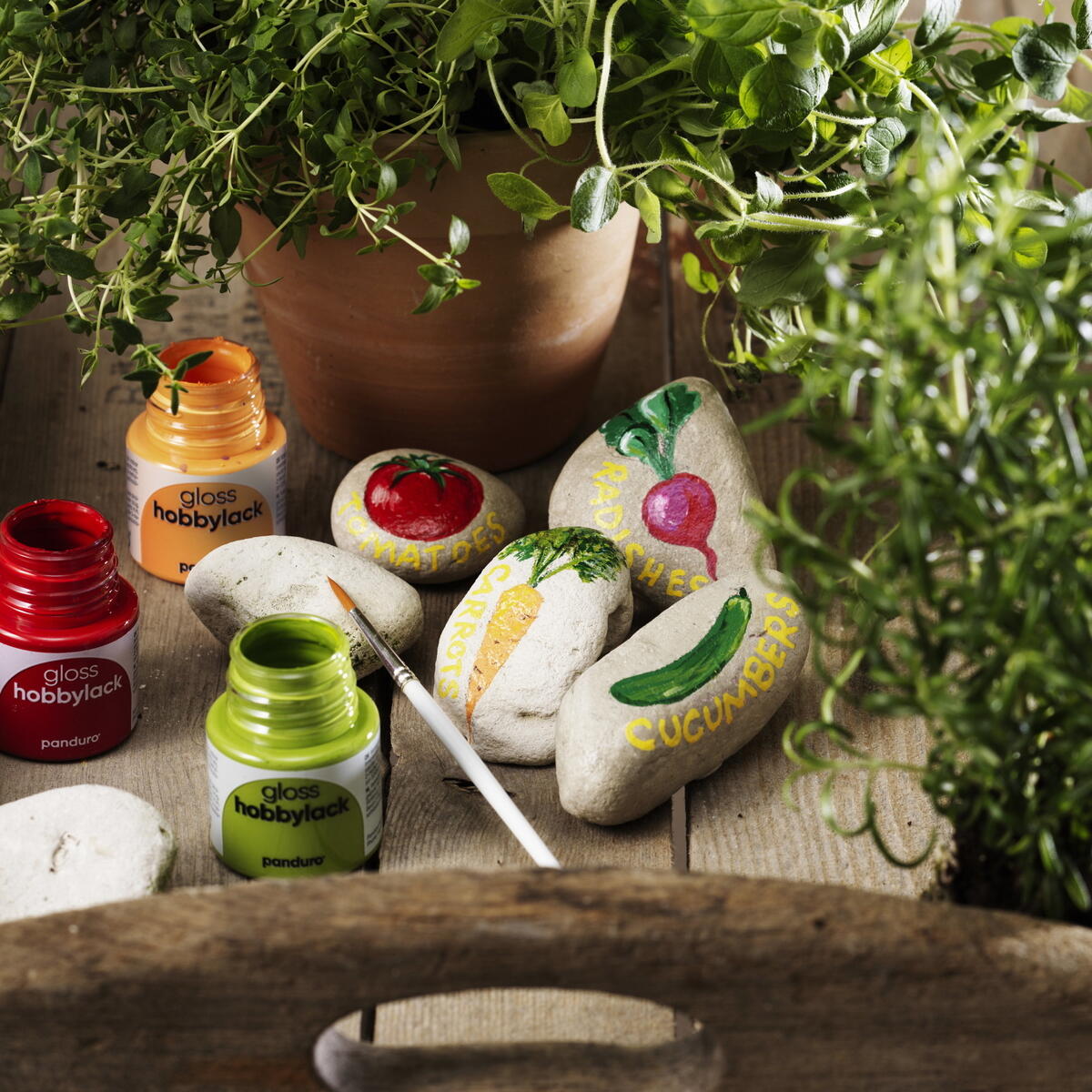 happy stones voor je moestuin