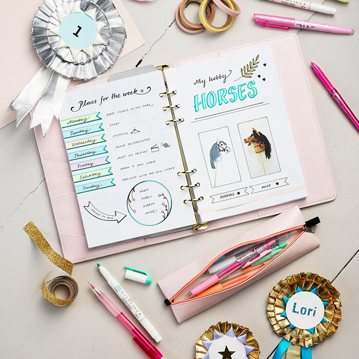 hobby horse bullet journal entry