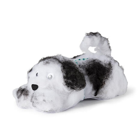 een schattige puppy