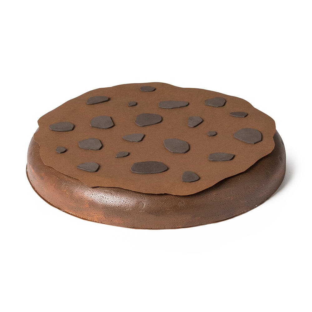 een koekje