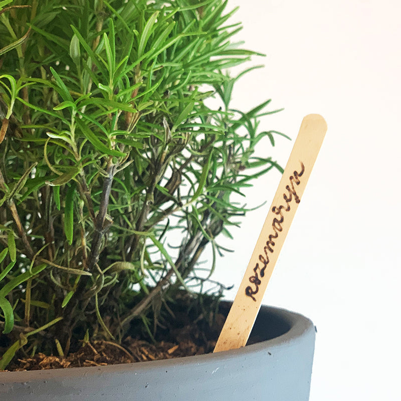 plantenstekers met houtbranden