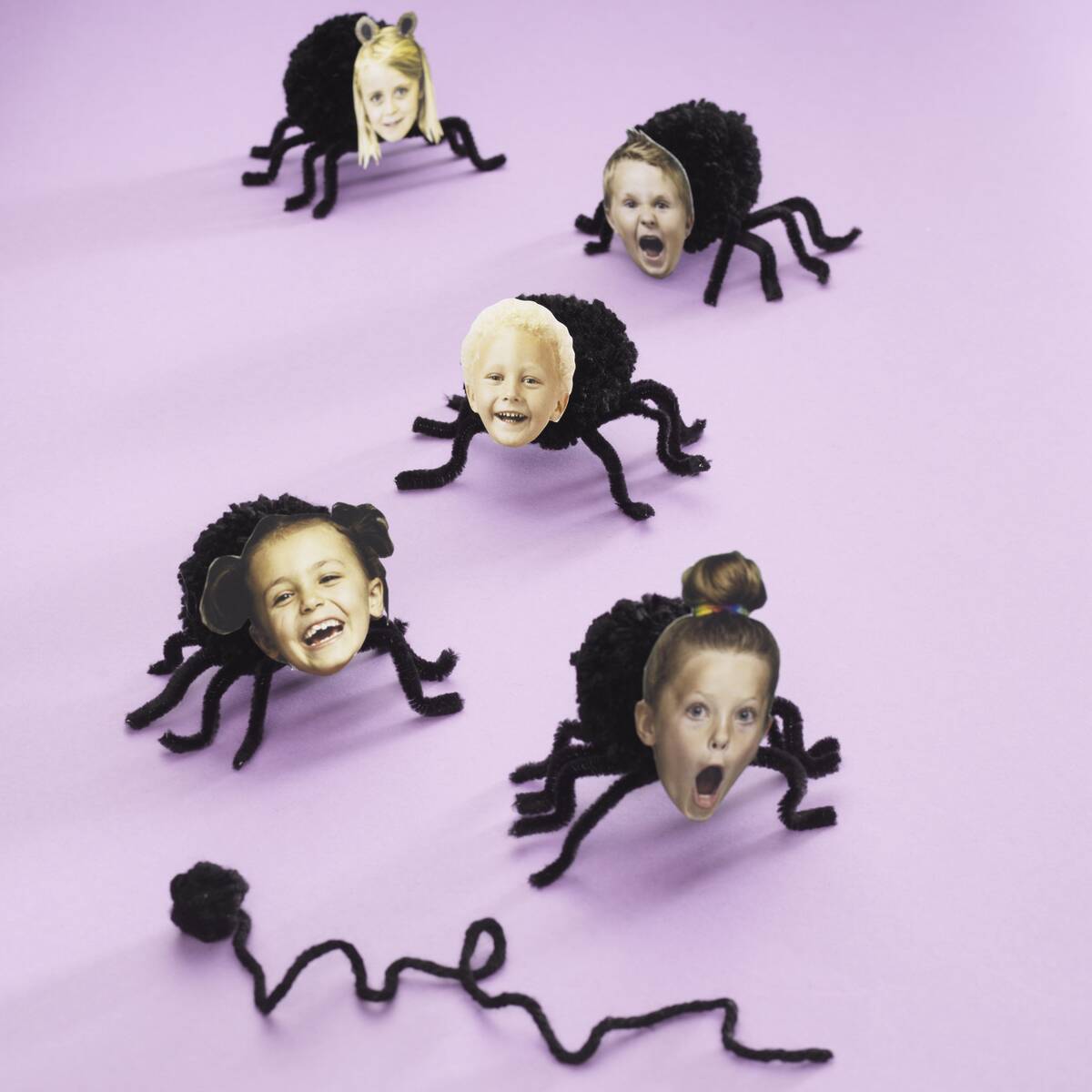 schattige spinnetjes