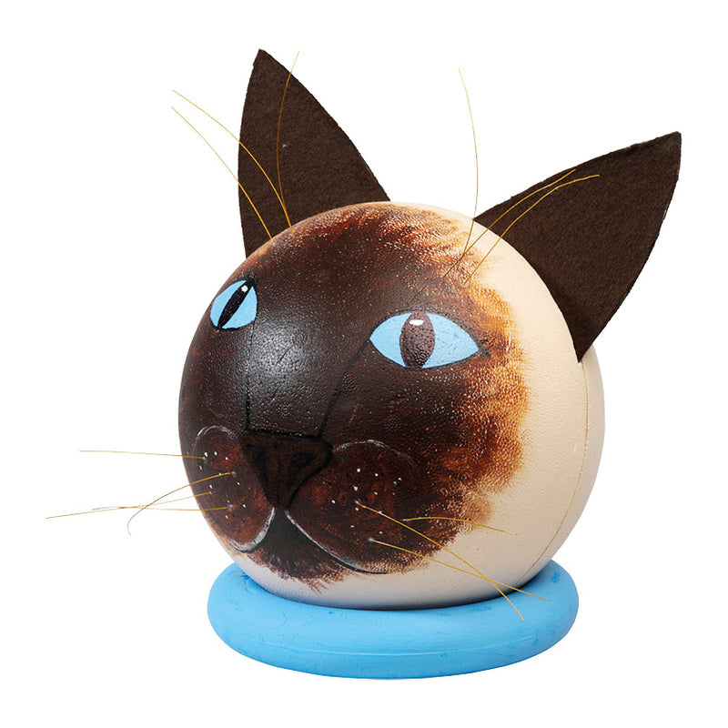 een siamese kat