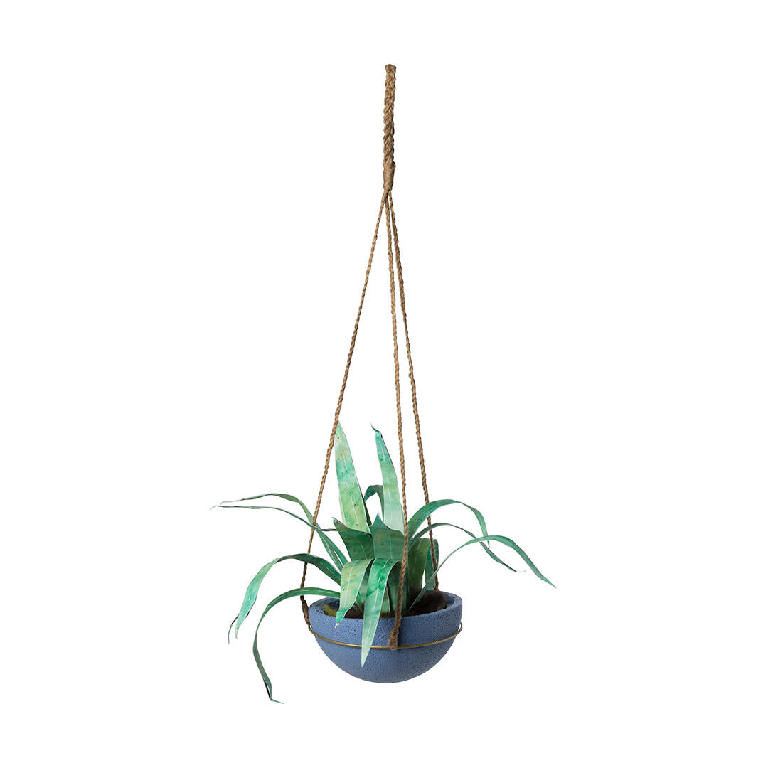 een hangplant