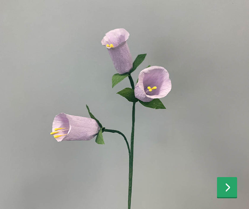 trompetbloem
