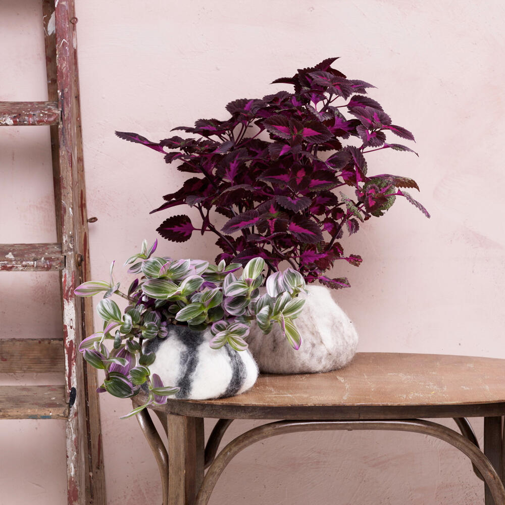 vilten bloempotten
