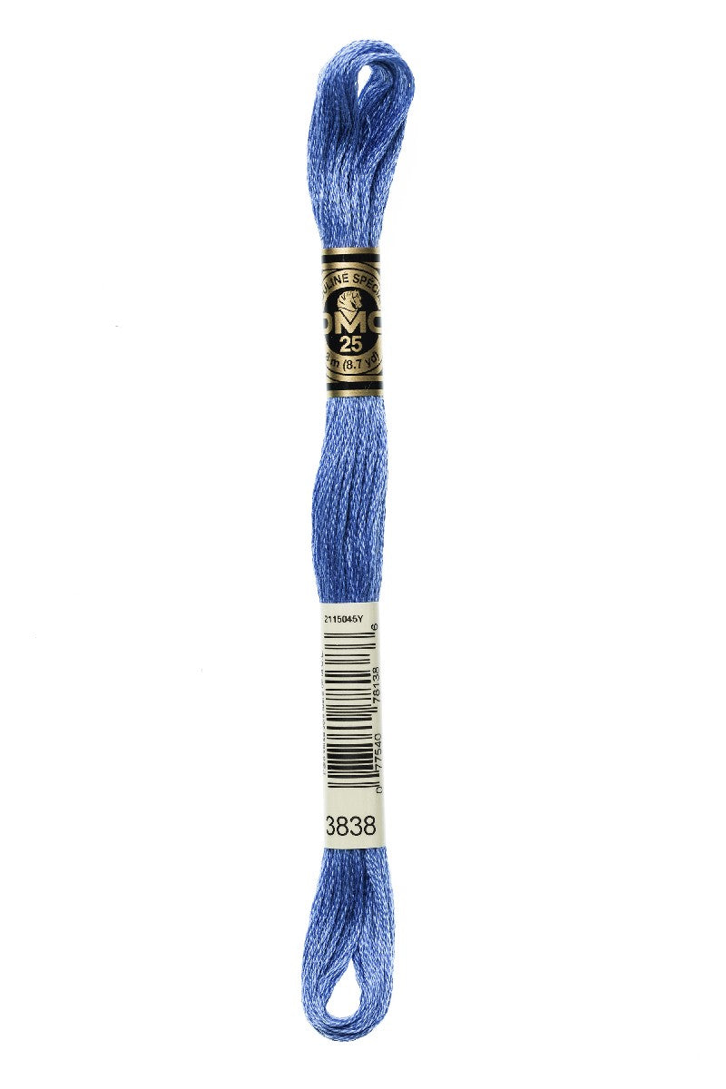 DMC Mouliné Spécial - 3838