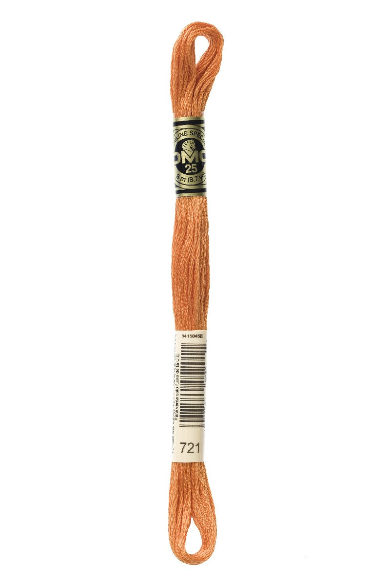 DMC Mouliné Spécial - 721