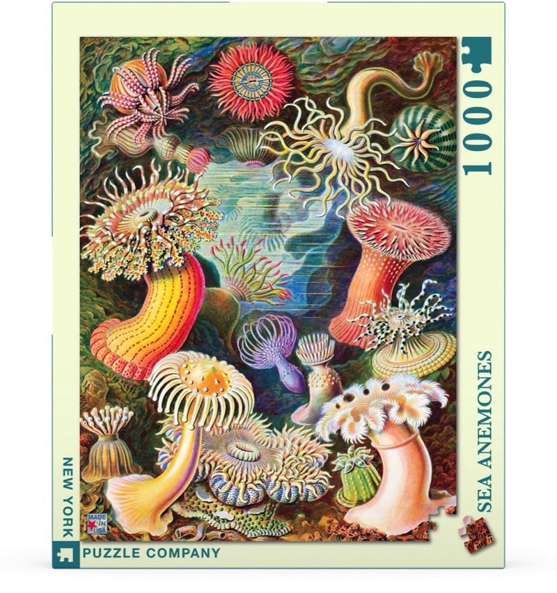 Puzzel - 1000 stukjes - Sea Anemones