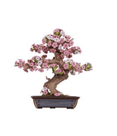 Robotime houten 3D puzzel - Sakura Bonsai