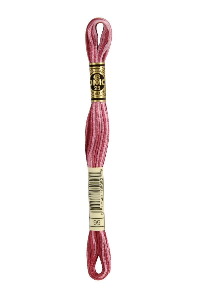 DMC Mouliné Spécial - 99