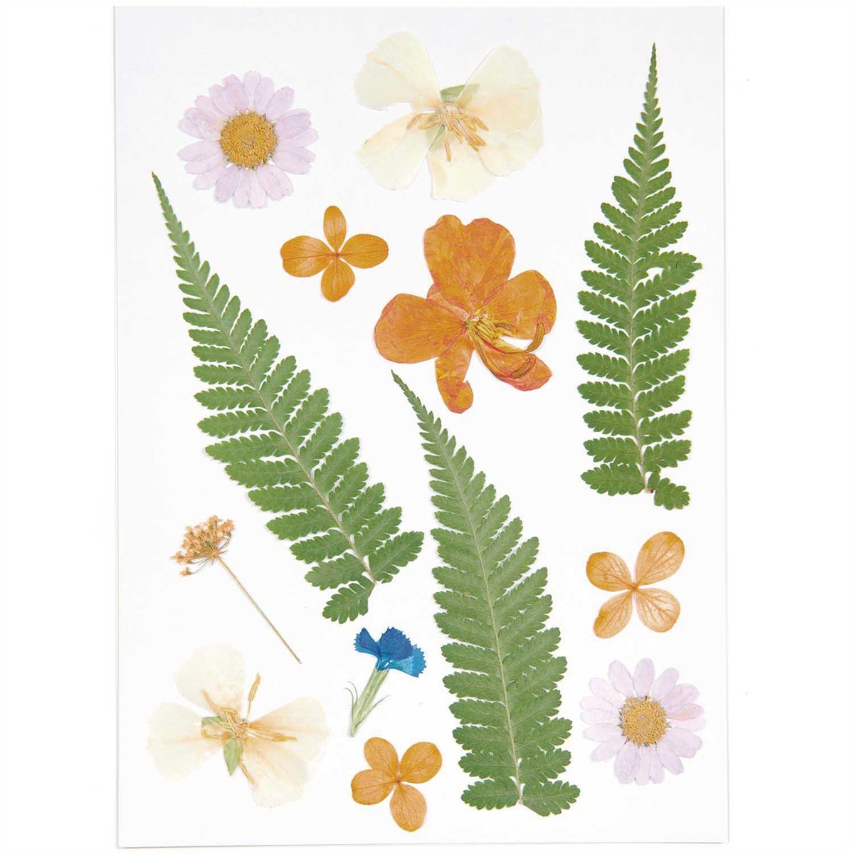Geperste bloemen - 13  stuks - violet/oranje