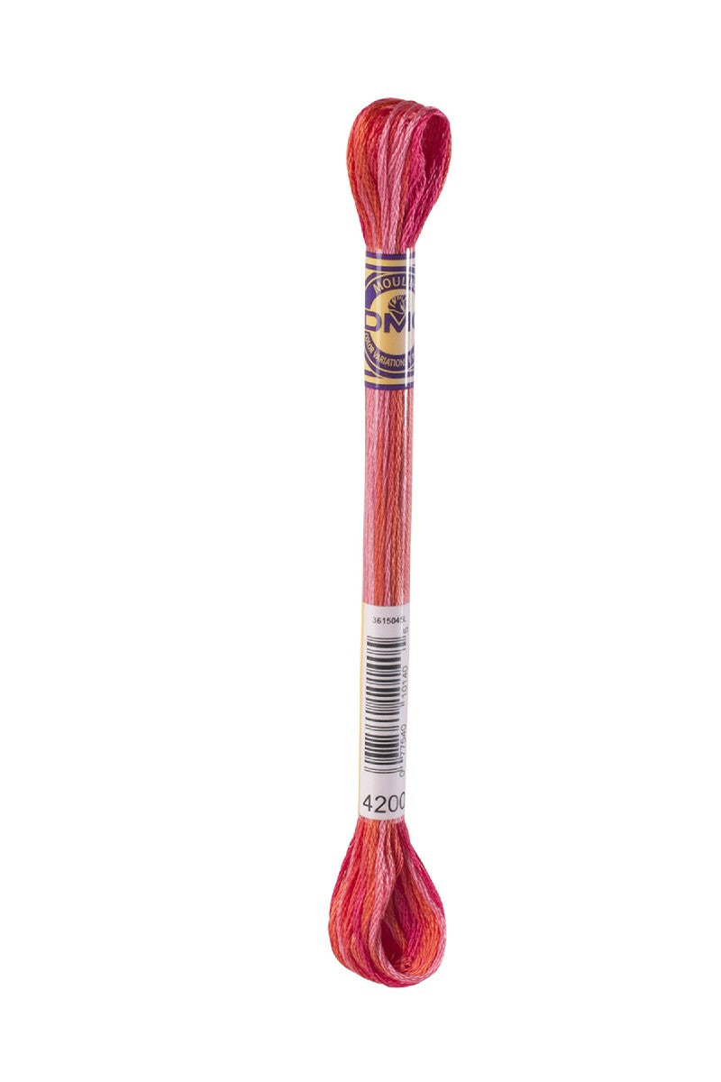 DMC Mouliné Color Variations - 4200