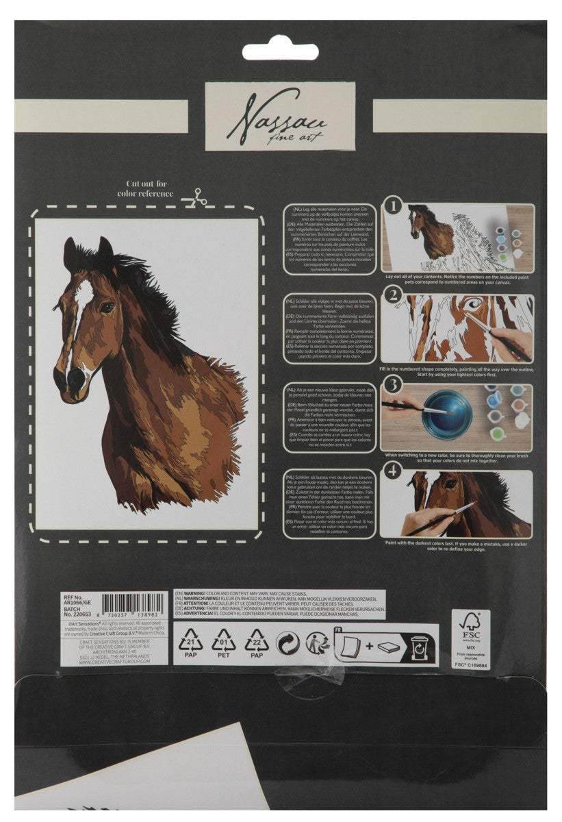 Schilderen op nummer - karton - paard