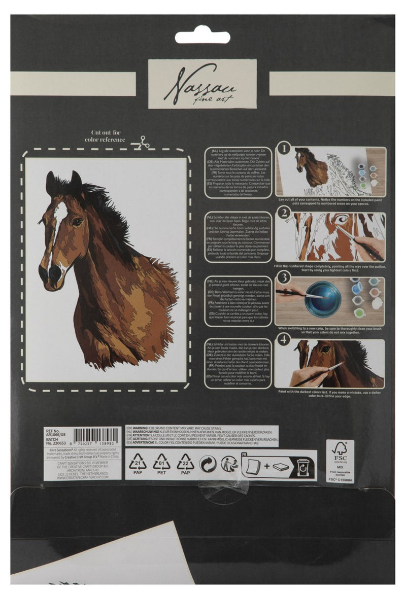 Schilderen op nummer - karton - paard