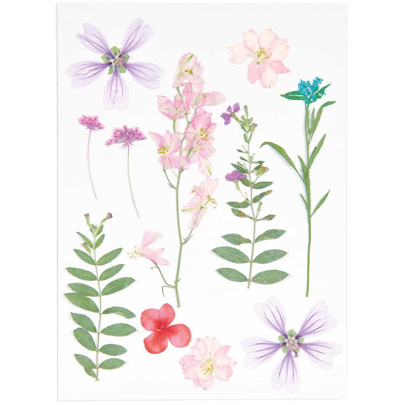 Geperste bloemen - 11  stuks - violet/roze