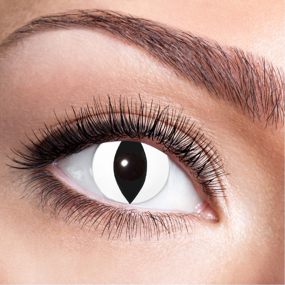 Gekleurde contact lenzen - kat