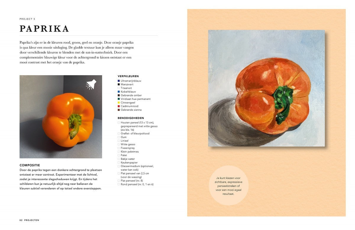 Boek - Acrylverf voor beginners