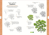 Boek - Tekenen in 10 Stappen - Wilde Bloemen en Planten
