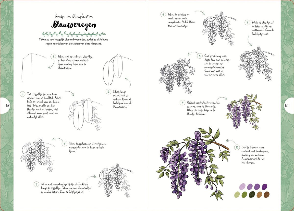 Boek - Tekenen in 10 Stappen - Wilde Bloemen en Planten