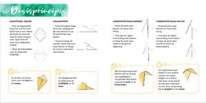 Boek - 333 Origami - kleurexplosie