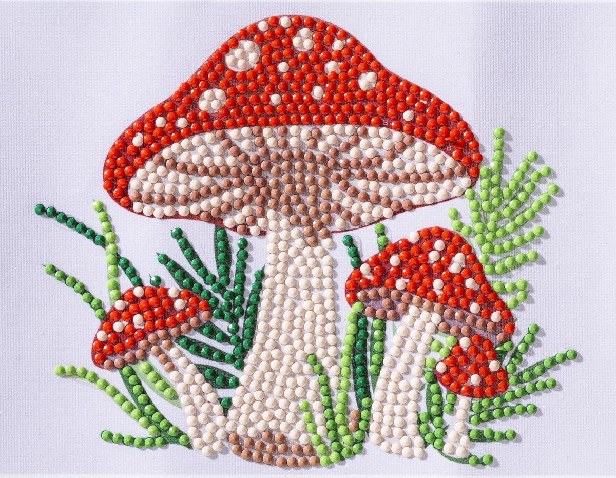 Diamond painting kit - 12x16 cm - paddenstoelen