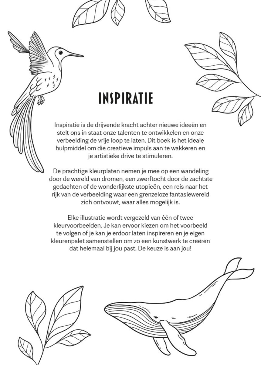 Kleurboek - Inspiration - Creatief Kleuren