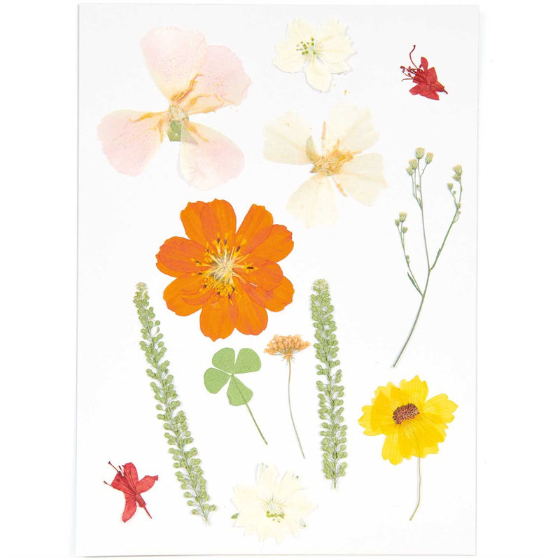 Geperste bloemen - 13  stuks - oranje tinten