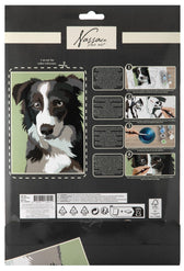 Schilderen op nummer - karton - hond
