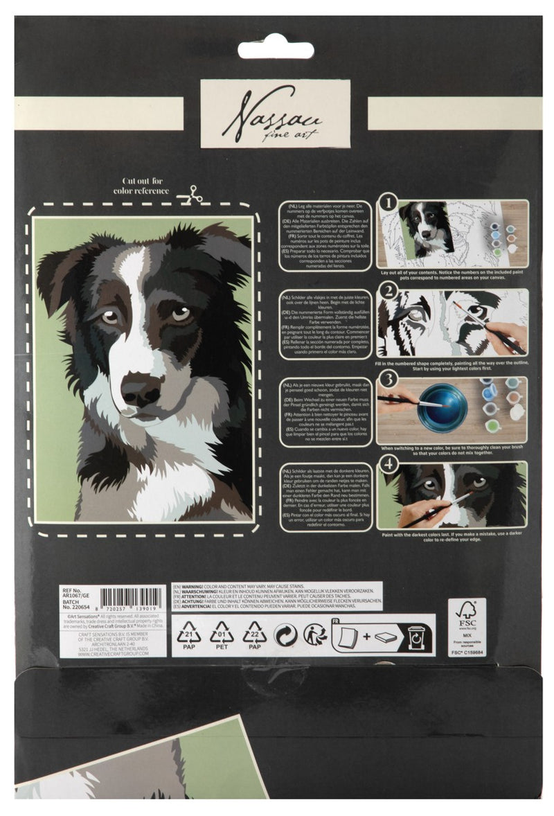 Schilderen op nummer - karton - hond