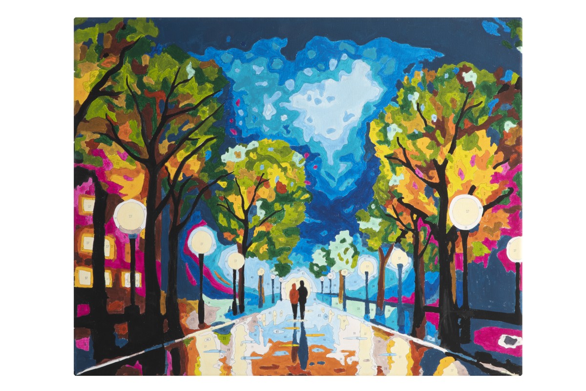 Schilderen op nummer - midnight walk