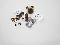 Panduro Junior DIY kit - Pet Club Sewing Kit