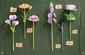 Boek - bloemen in een boek