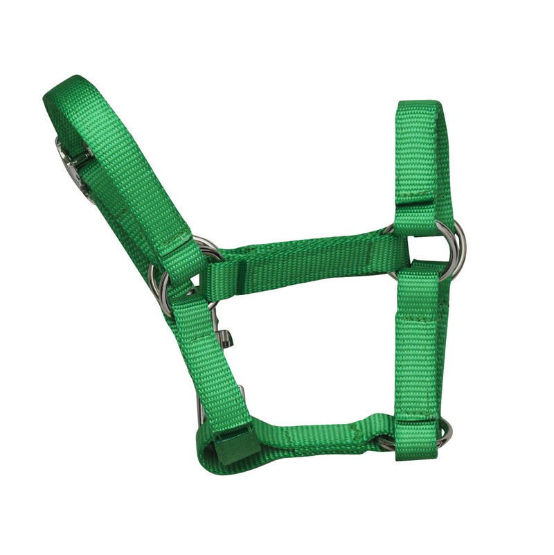 Hobby Horse - halster - groen