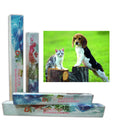 Diamond Paint 40x50 cm - beagle en katje