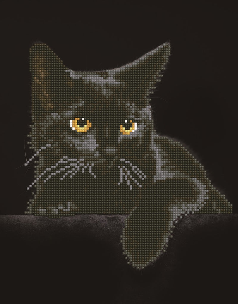 Diamond Dotz - 28x36 cm - zwarte kat