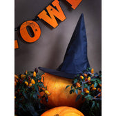 Halloween heksenhoed