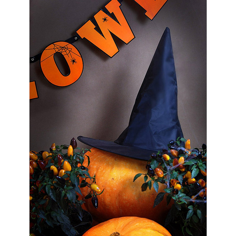 Halloween heksenhoed