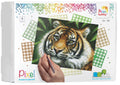 Pixelhobby set - 4 platen - tijger