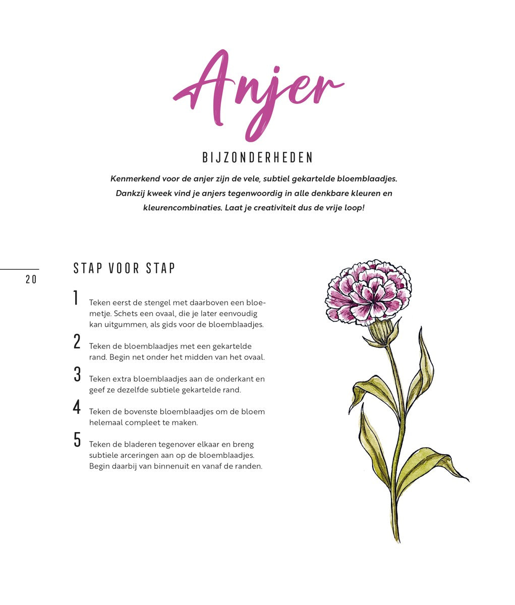 Boek - Stap voor stap bloemen leren tekenen
