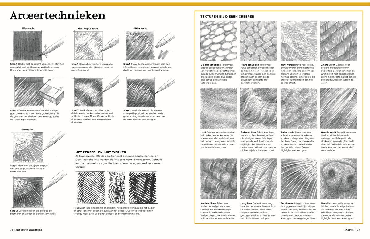 Boek - Het Grote Tekenboek