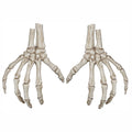 Skelet hand