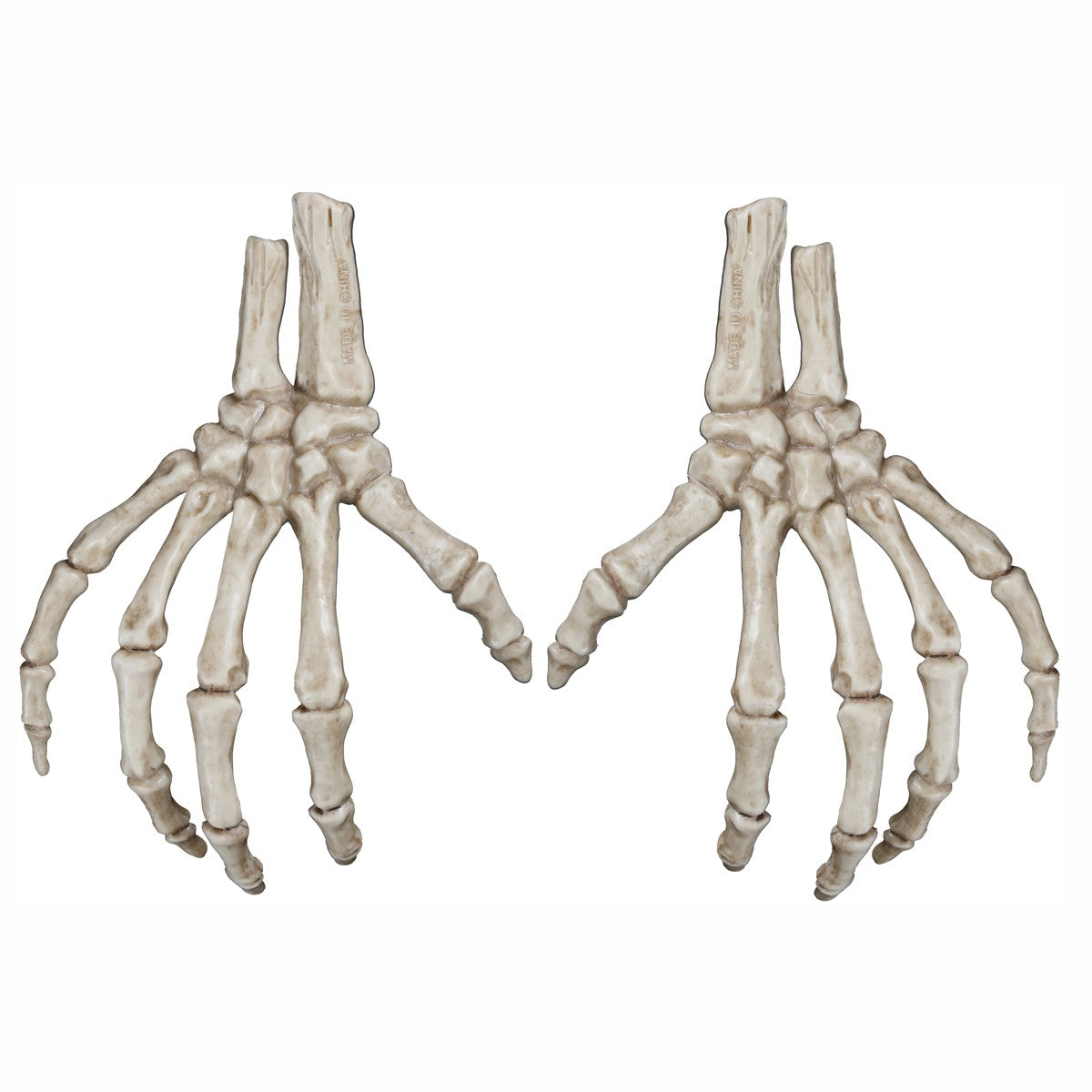 Skelet hand
