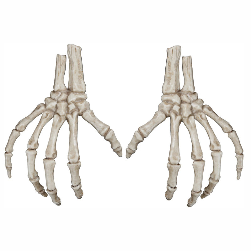 Skelet hand