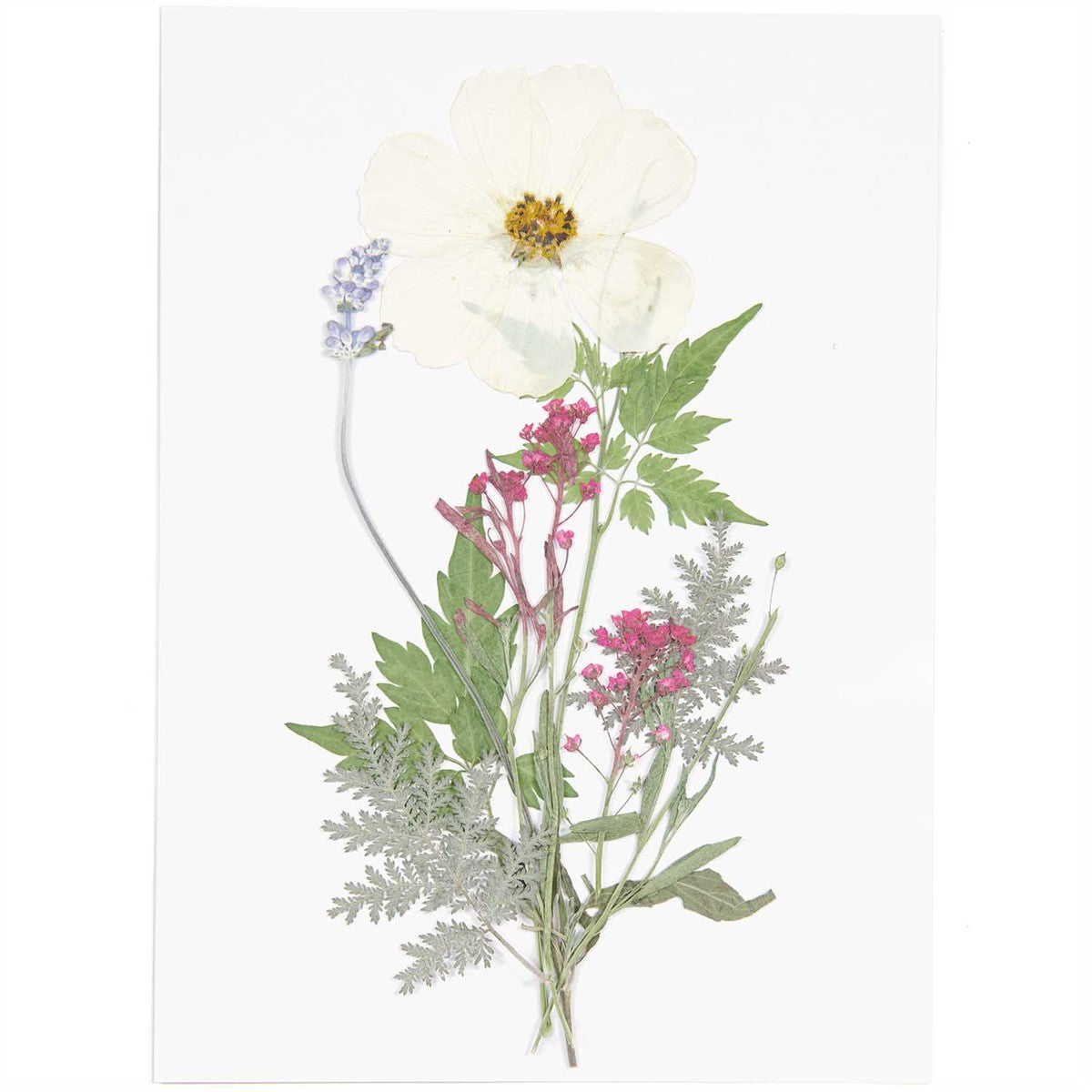 Geperste bloemen - 7  stuks - violet/wit