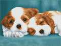 Diamond Dotz - 31x41 cm - Little Champs