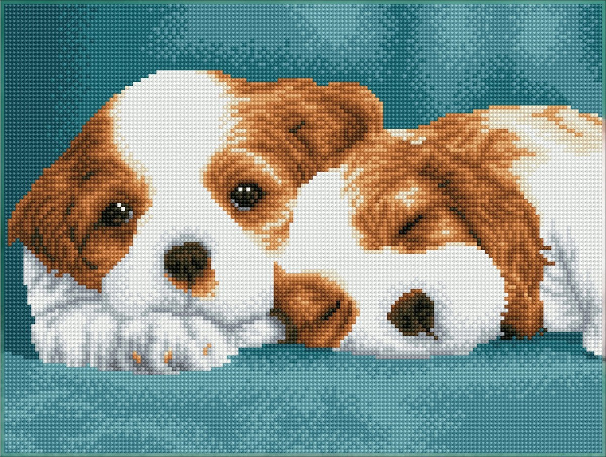 Diamond Dotz - 31x41 cm - Little Champs