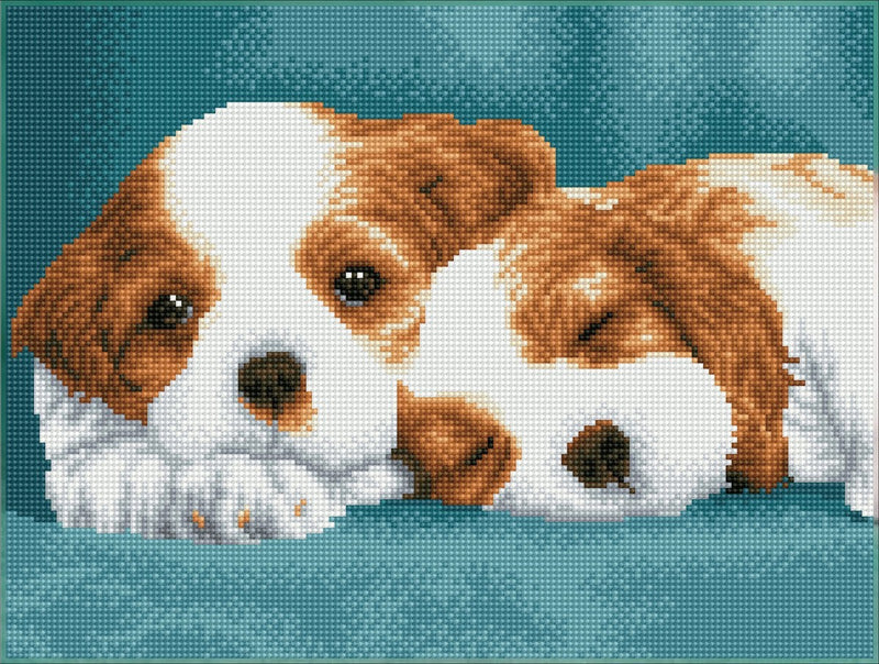Diamond Dotz - 31x41 cm - Little Champs