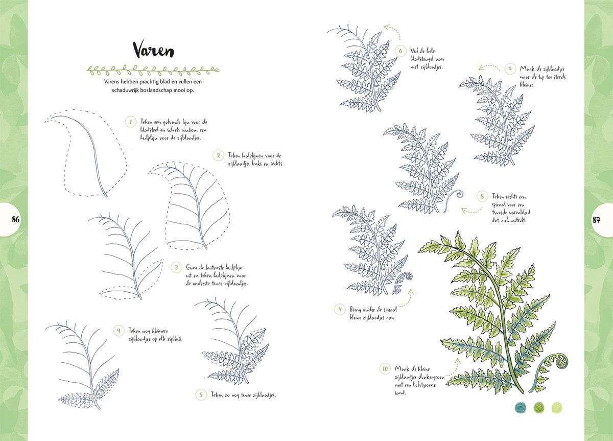 Boek - Tekenen in 10 Stappen - De Natuur