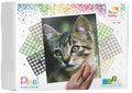Pixelhobby set - 4 platen - kitten